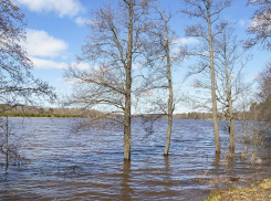 В Воронежской области начали готовиться к весеннему половодью
