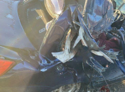 В Богучарском районе два человека погибли в ДТП