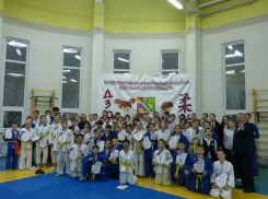 Бобровчане завоевали 26 медалей в открытом первенстве по дзюдо