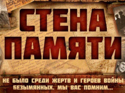 Жителей Воронежской области пригласили поучаствовать в акции «Стенам Памяти»