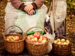 Российским дачникам напомнили о штрафах при незаконной продаже урожая