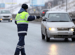 В Воронежской области запустили акцию «Безопасные каникулы»