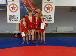 Таловские самбисты завоевали 4 золотых медали на областном турнире