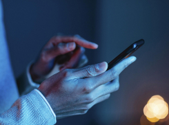 Жители Воронежской области смогут пожаловаться на закладчиков в анонимный чат-бот