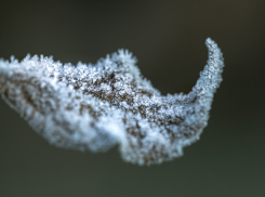 В Воронежской области объявлено штормовое предупреждение из-за аномальных холодов