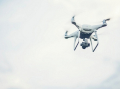 В Воронежской области возобновят патрулирование лесов с помощью БПЛА