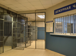 В Эртильском районе мужчина скончался в отделе полиции