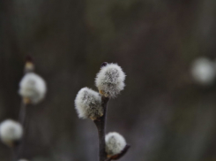 В Воронежскую область нагрянет похолодание