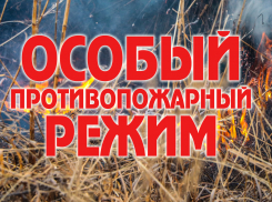 В Воронежской области отменили особый противопожарный режим