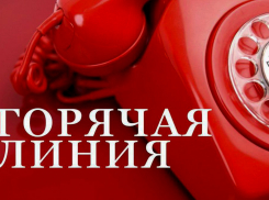 В Воронежской области запустили горячую линию по вопросам туризма и отдыха