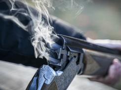 Росгвардейцы изъяли у жителей Воронежской области 14 единиц оружия