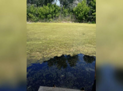 Жителей села Новая Чигла приглашают на субботник по очистке реки