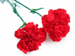 В Таловском районе прошло открытие «Памятного знака»