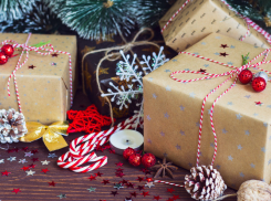 Глава Аннинского района принял участие во всероссийской акции «Ёлка желаний»