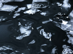 В Воронежской области за неделю на водоёмах погибли 6 человек