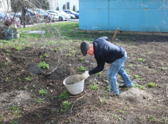 Жителей Панинского района приглашают присоединиться к месячнику благоустройства