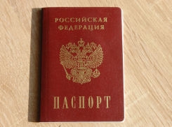 В 2023 году почти 1,6 тыс. жителей Воронежской области сменили имя