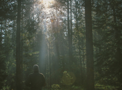 В Воронежской области девушка обманула волонтеров, заставив искать её в лесу