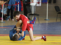 В Таловой пройдёт турнир по самбо и демо-самбо