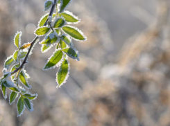 Синоптики рассказали, какой будет погода на Пасху в Воронежской области