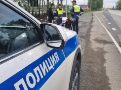 На дорогах в Воронежской области с начала года пострадали 262 ребёнка