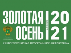 Таловский район получил золотую медаль на агропромышленной выставке «Золотая осень – 2021»