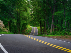 В Эртильском районе расчистят дороги от порослей
