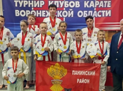 Панинские каратисты завоевали 8 золотых медалей на областном турнире