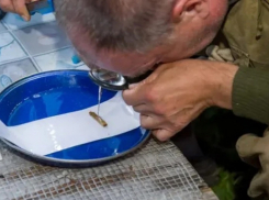 В Смоленской области обнаружили останки участника ВОВ из Таловского района