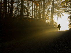 В Воронежской области за неделю нашли 20 пропавших человек 