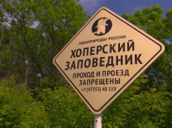 Хопёрский заповедник возобновил свою работу после перерыва