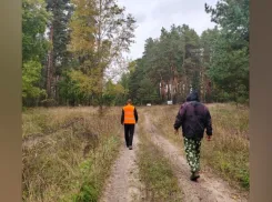 В Бобровском районе продолжаются поиски пенсионерки в окрестностях села Семено-Александровка