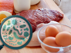 В Воронежской области резко выросла заболеваемость сальмонеллёзом