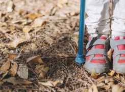В Воронежской области назвали район, где чаще всего пропадают люди