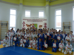 Бобровские дзюдоисты завоевали 22 медали на открытом первенстве района