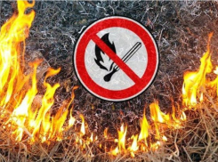 В Воронежской области повысили класс пожарной опасности