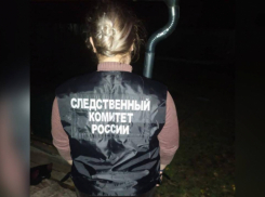 Таловчанина обвиняемого в изнасиловании и убийстве помощницы воронежского депутата отправили в СИЗО