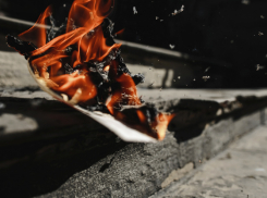 В Воронежской области первые лесные пожары наступят в марте