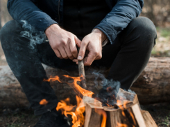 В Воронежской области с 15 апреля введут особый противопожарный режим