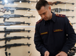 В Воронежской области росгвардейцы изъяли 18 единиц оружия
