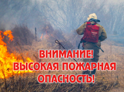 В 12 районах Воронежской области установился максимальный уровень пожарной опасности
