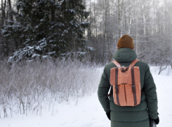 В феврале в Воронежской области пропал без вести 81 человек