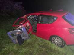 На дороге в Аннинском районе столкнулись две автоледи 