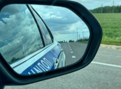 В конце ноября в Воронежской области пройдут массовые проверки водителей