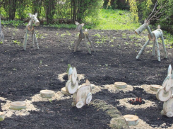 В Панинском детско-юношеском центре появилась экотропа