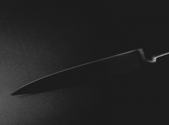 В Воронежской области снизился уровень преступности в 2024 году