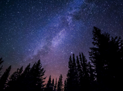 Жители Воронежской области смогут увидеть самый яркий звездопад лета