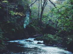 В Воронежской области появилось 18 новых зон подтопления