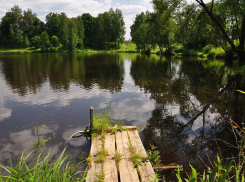 В Таловском и Аннинском районах обнаружили десятки незаконных участков