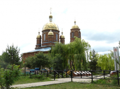 На конкурс «Самое красивое село Воронежской области» поступило 63 заявки